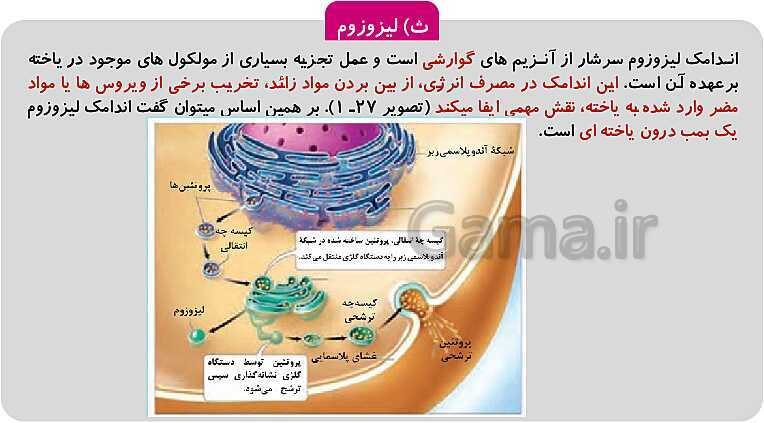 پاورپوینت فصل 1: حیات و زیست شناسی | کتاب زیست شناسی پایه دهم فنی- پیش نمایش