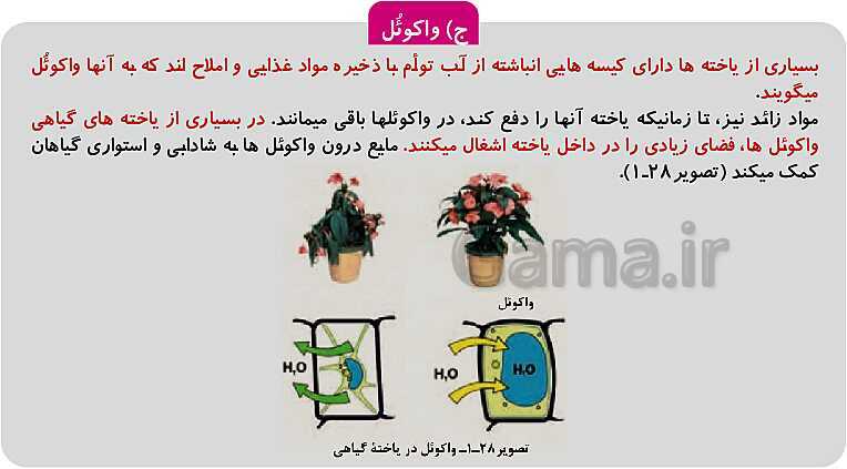 پاورپوینت فصل 1: حیات و زیست شناسی | کتاب زیست شناسی پایه دهم فنی- پیش نمایش