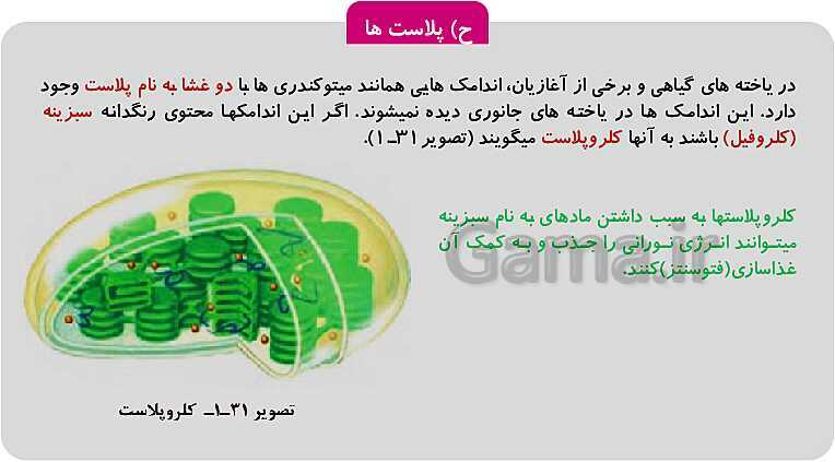 پاورپوینت فصل 1: حیات و زیست شناسی | کتاب زیست شناسی پایه دهم فنی- پیش نمایش