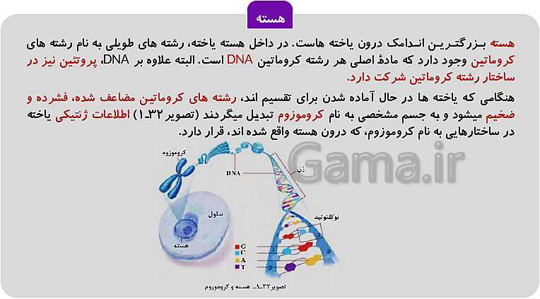 پاورپوینت فصل 1: حیات و زیست شناسی | کتاب زیست شناسی پایه دهم فنی- پیش نمایش