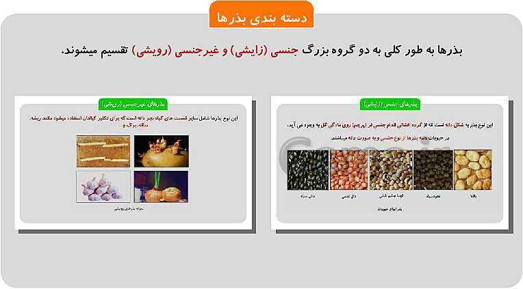 پاورپوینت پودمان 1: تهیه بذر و تعیین ویژگی های آن | کتاب پرورش و تولید حبوبات پایه دهم رشته امور زراعی و باغی- پیش نمایش