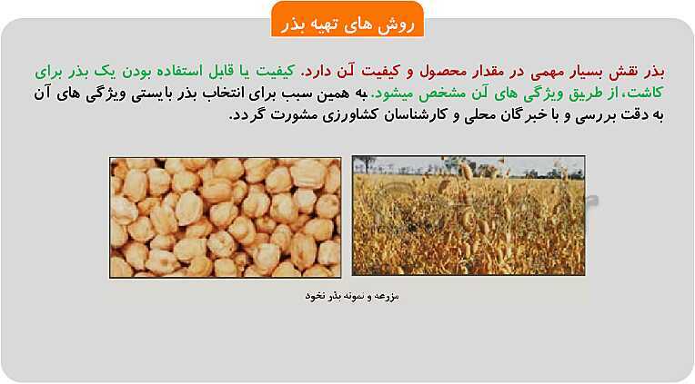 پاورپوینت پودمان 1: تهیه بذر و تعیین ویژگی های آن | کتاب پرورش و تولید حبوبات پایه دهم رشته امور زراعی و باغی- پیش نمایش