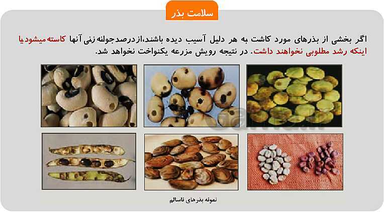 پاورپوینت پودمان 1: تهیه بذر و تعیین ویژگی های آن | کتاب پرورش و تولید حبوبات پایه دهم رشته امور زراعی و باغی- پیش نمایش