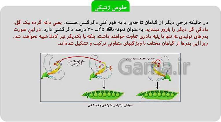 پاورپوینت پودمان 1: تهیه بذر و تعیین ویژگی های آن | کتاب پرورش و تولید حبوبات پایه دهم رشته امور زراعی و باغی- پیش نمایش