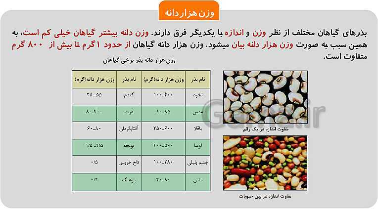 پاورپوینت پودمان 1: تهیه بذر و تعیین ویژگی های آن | کتاب پرورش و تولید حبوبات پایه دهم رشته امور زراعی و باغی- پیش نمایش