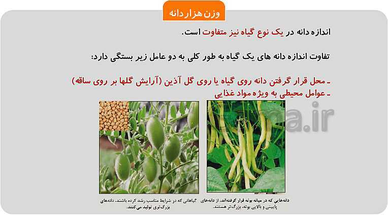 پاورپوینت پودمان 1: تهیه بذر و تعیین ویژگی های آن | کتاب پرورش و تولید حبوبات پایه دهم رشته امور زراعی و باغی- پیش نمایش