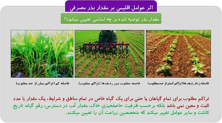 پاورپوینت پودمان 1: تهیه بذر و تعیین ویژگی های آن | کتاب پرورش و تولید حبوبات پایه دهم رشته امور زراعی و باغی- پیش نمایش