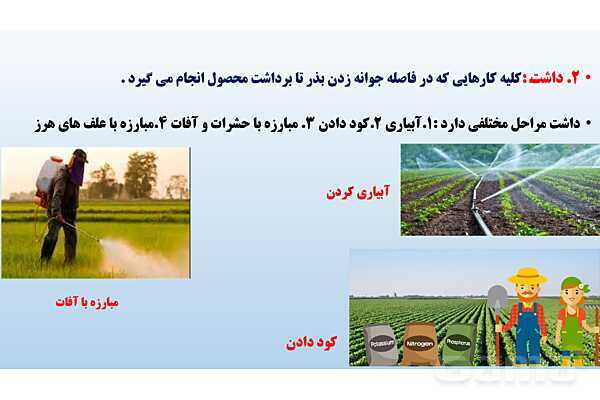 پاورپوینت فصل سوم: کشاورزی در ایران | درس مطالعات ششم- پیش نمایش