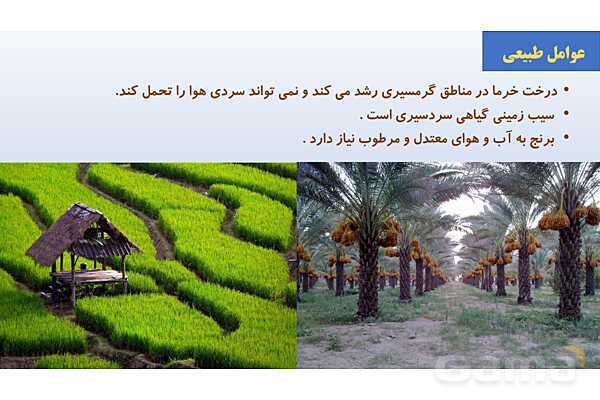 پاورپوینت فصل سوم: کشاورزی در ایران | درس مطالعات ششم- پیش نمایش