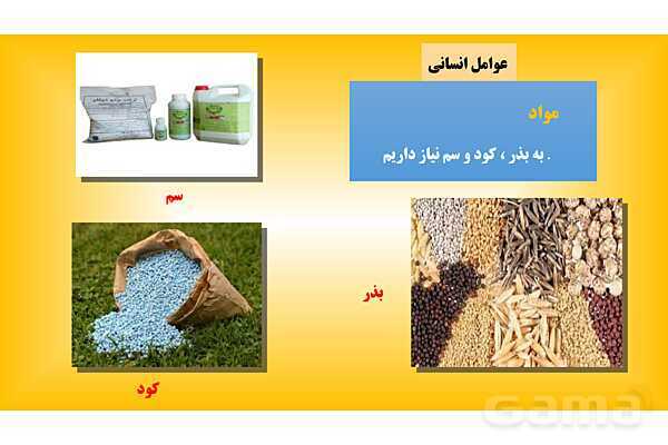 پاورپوینت فصل سوم: کشاورزی در ایران | درس مطالعات ششم- پیش نمایش