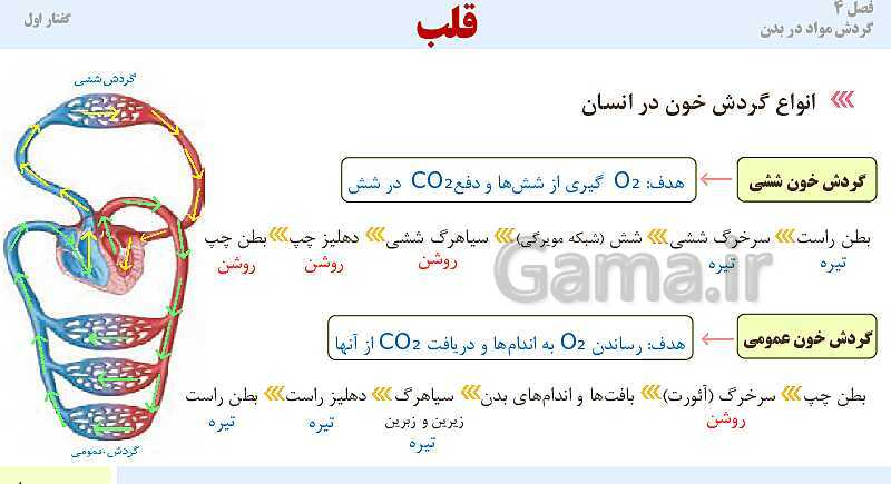 پاورپوینت آموزش گفتار 1 فصل چهارم: قلب | کتاب درسی زیست دهم- پیش نمایش