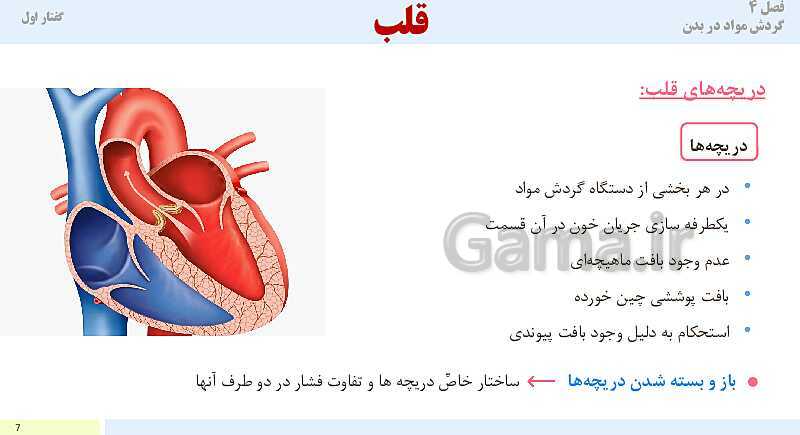 پاورپوینت آموزش گفتار 1 فصل چهارم: قلب | کتاب درسی زیست دهم- پیش نمایش