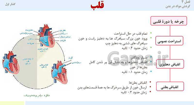 پاورپوینت آموزش گفتار 1 فصل چهارم: قلب | کتاب درسی زیست دهم- پیش نمایش