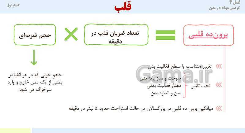 پاورپوینت آموزش گفتار 1 فصل چهارم: قلب | کتاب درسی زیست دهم- پیش نمایش