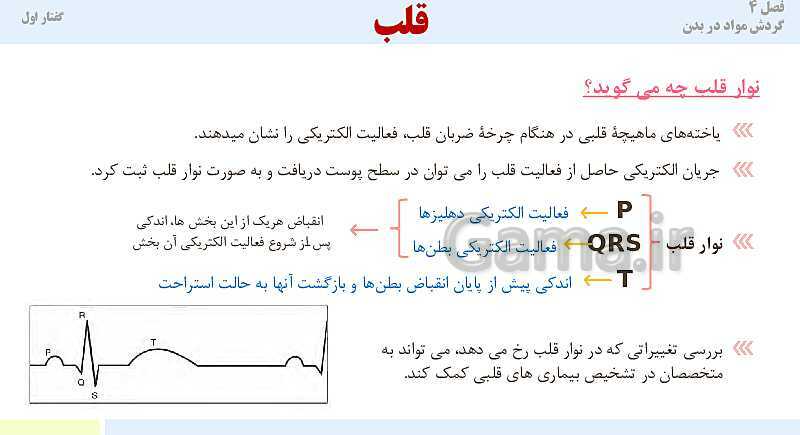 پاورپوینت آموزش گفتار 1 فصل چهارم: قلب | کتاب درسی زیست دهم- پیش نمایش