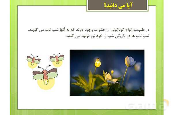 پاورپوینت علوم تجربی سوم دبستان | درس 7: نور و مشاهدهی اجسام- پیش نمایش