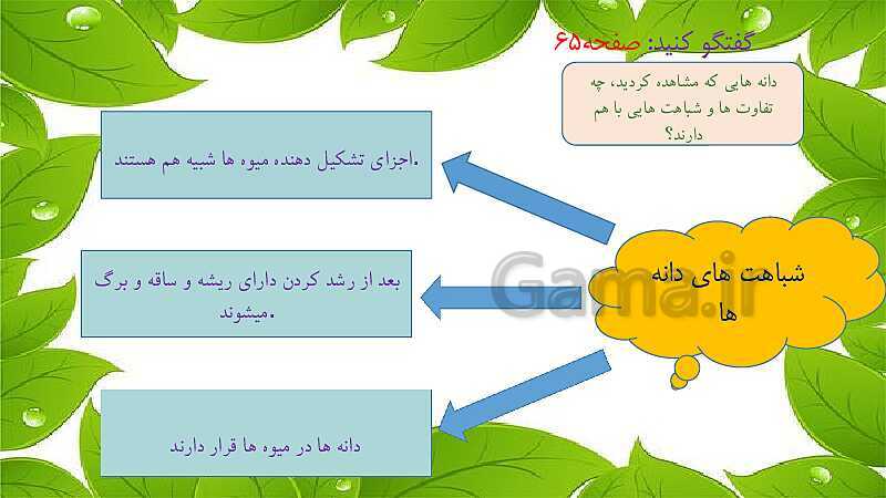 پاورپوینت درس 9: سرگذشت دانه | علوم تجربی پایه‌ی دوم ابتدایی- پیش نمایش