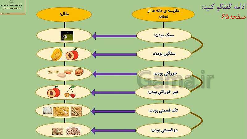 پاورپوینت درس 9: سرگذشت دانه | علوم تجربی پایه‌ی دوم ابتدایی- پیش نمایش