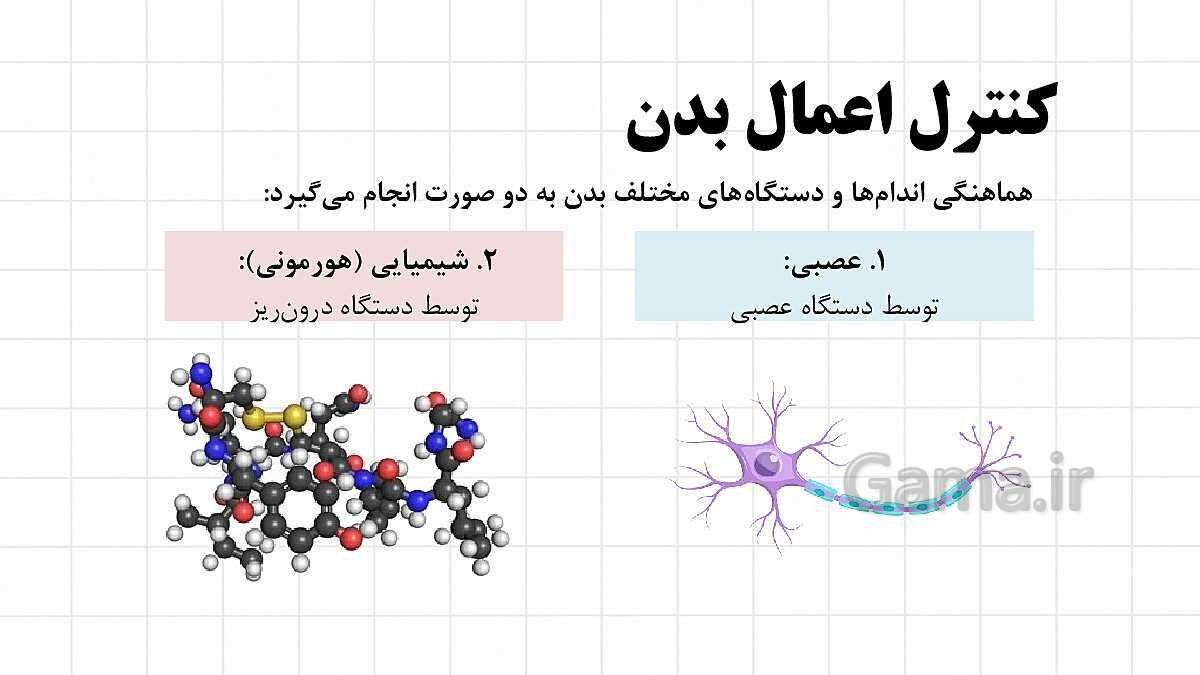 پاورپوینت آموزشی فصل 4: تنظیم عصبی | علوم هشتم- پیش نمایش