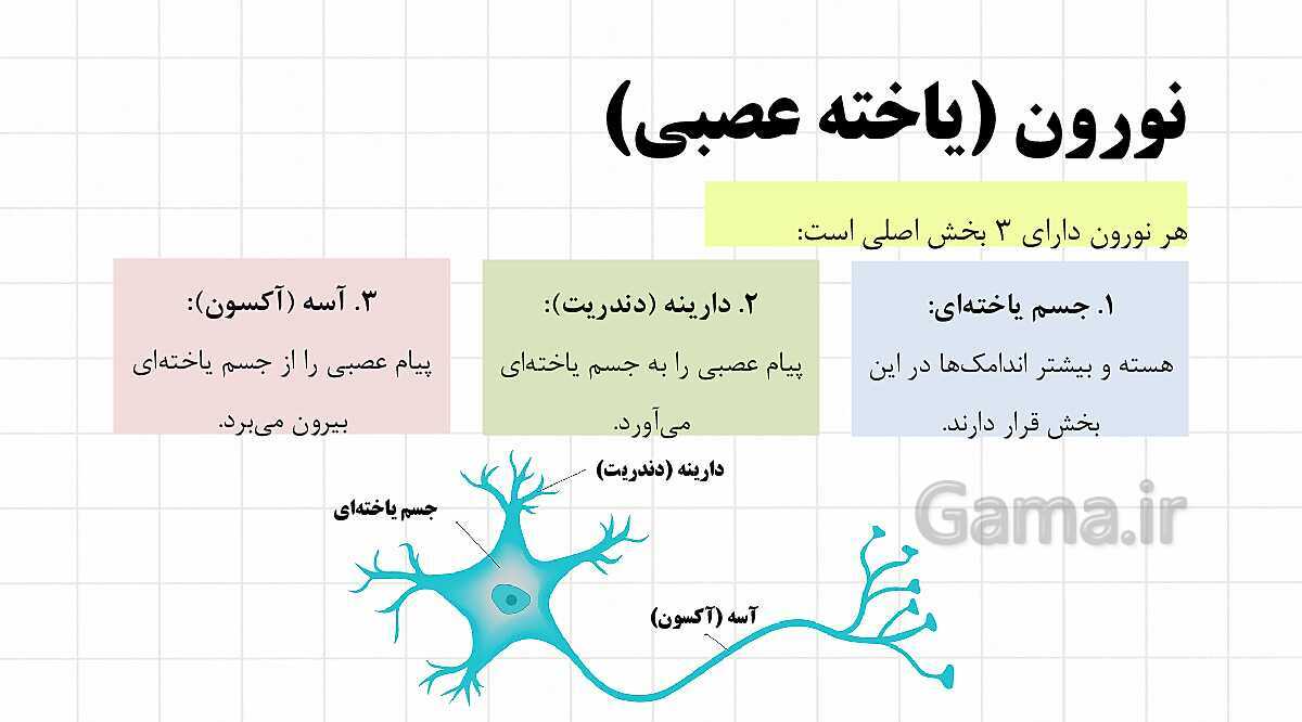 پاورپوینت آموزشی فصل 4: تنظیم عصبی | علوم هشتم- پیش نمایش