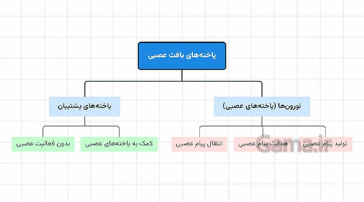 پاورپوینت آموزشی فصل 4: تنظیم عصبی | علوم هشتم- پیش نمایش