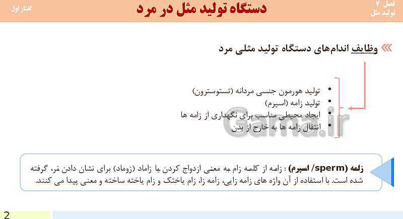 پاورپوینت فصل 7-گفتار اول: دستگاه تولید مثل در مرد | آموزش کتاب محور علوم تجربی یازدهم- پیش نمایش