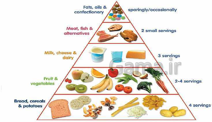 وارم آپ درس دوم انگلیسی | Food pyramid - پیش نمایش