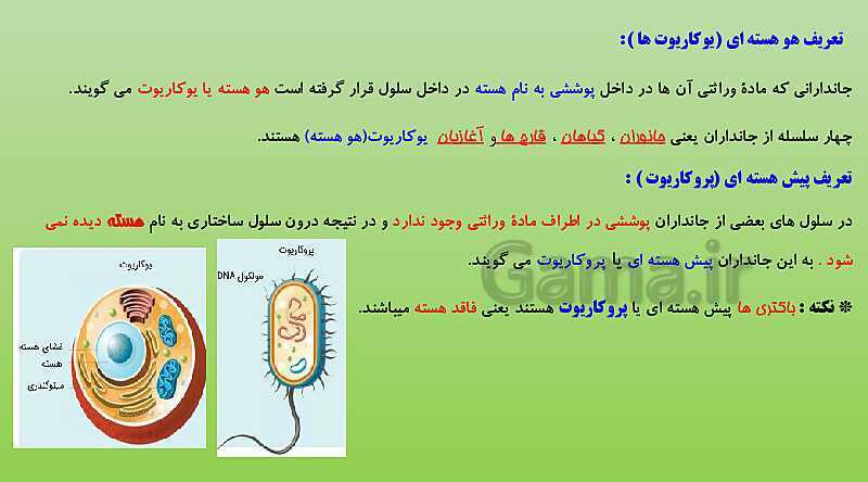 پاورپوینت تدریس فصل 11 علوم نهم (گوناگونی جانداران)- پیش نمایش