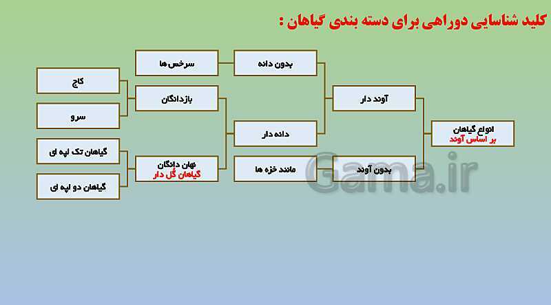 پاورپوینت تدریس فصل 12 علوم نهم (دنیای گیاهان)- پیش نمایش