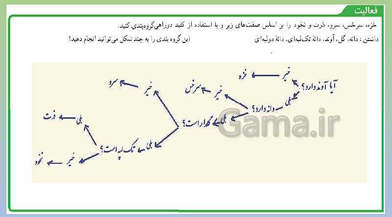 پاورپوینت تدریس فصل 12 علوم نهم (دنیای گیاهان)- پیش نمایش