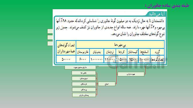 پاورپوینت تدریس فصل 13 علوم نهم (جانوران بی مهره)- پیش نمایش