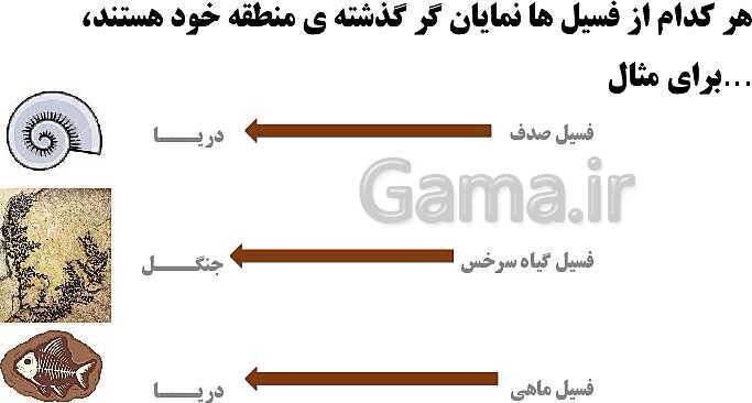 پاورپوینت آموزش درس 4 علوم تجربی پنجم دبستان:  برگی از تاریخ زمین (فسیل‌ها)- پیش نمایش