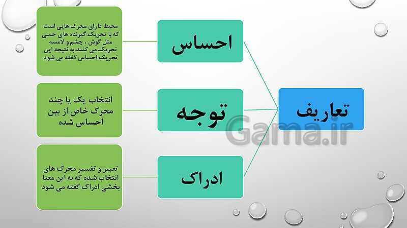 پاورپوینت درس 3: احساس، توجه و ادراک | روانشناسی یازدهم انسانی- پیش نمایش