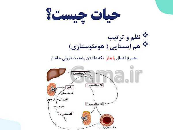 پاورپوینت گفتار 2 فصل 1 زیست دهم: گستره حیات- پیش نمایش