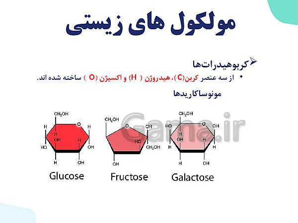 پاورپوینت گفتار 2 فصل 1 زیست دهم: گستره حیات- پیش نمایش