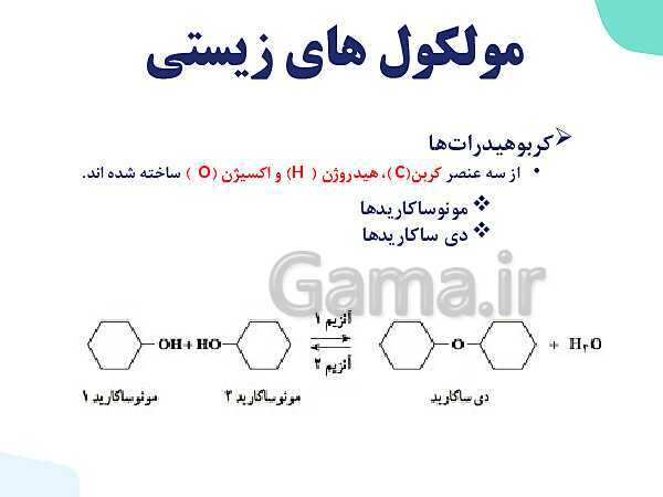 پاورپوینت گفتار 2 فصل 1 زیست دهم: گستره حیات- پیش نمایش