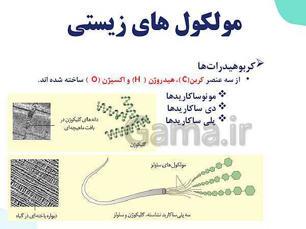 پاورپوینت گفتار 2 فصل 1 زیست دهم: گستره حیات- پیش نمایش