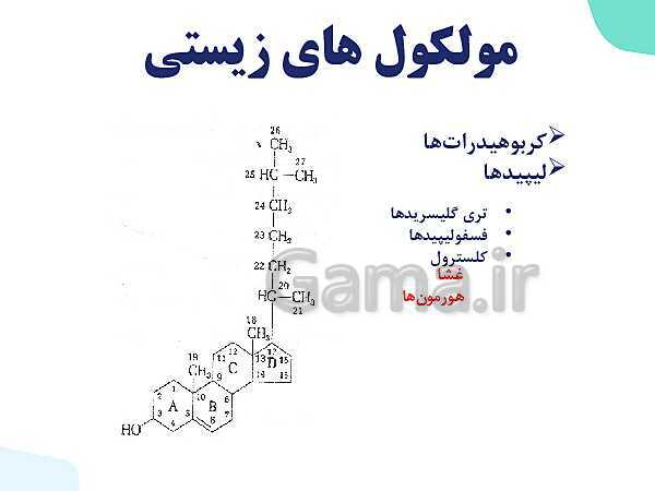 پاورپوینت گفتار 2 فصل 1 زیست دهم: گستره حیات- پیش نمایش