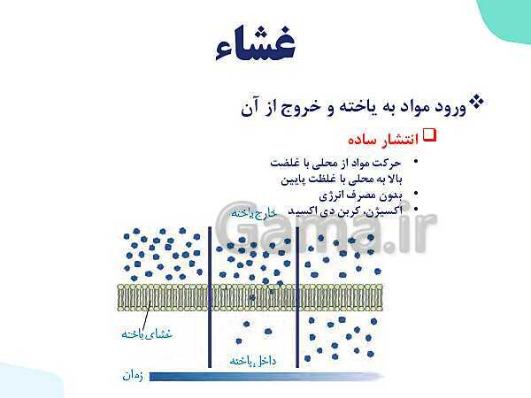 پاورپوینت گفتار 3 فصل 1 زیست دهم: یاخته و بافت در بدن انسان- پیش نمایش