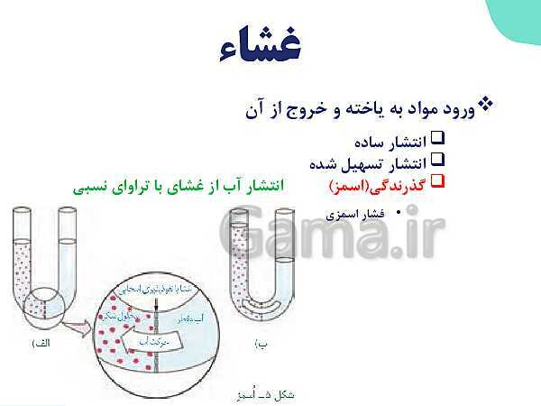 پاورپوینت گفتار 3 فصل 1 زیست دهم: یاخته و بافت در بدن انسان- پیش نمایش