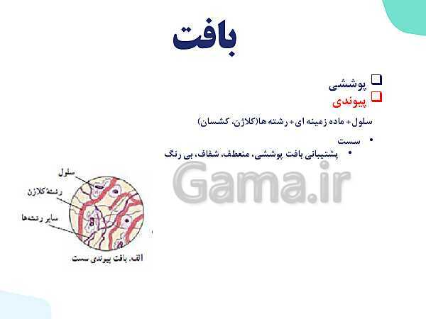 پاورپوینت گفتار 3 فصل 1 زیست دهم: یاخته و بافت در بدن انسان- پیش نمایش