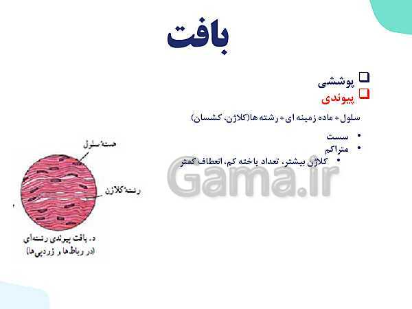 پاورپوینت گفتار 3 فصل 1 زیست دهم: یاخته و بافت در بدن انسان- پیش نمایش