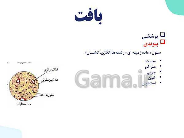 پاورپوینت گفتار 3 فصل 1 زیست دهم: یاخته و بافت در بدن انسان- پیش نمایش