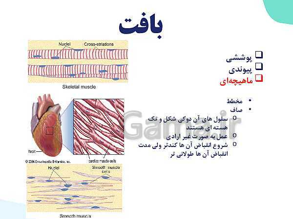 پاورپوینت گفتار 3 فصل 1 زیست دهم: یاخته و بافت در بدن انسان- پیش نمایش