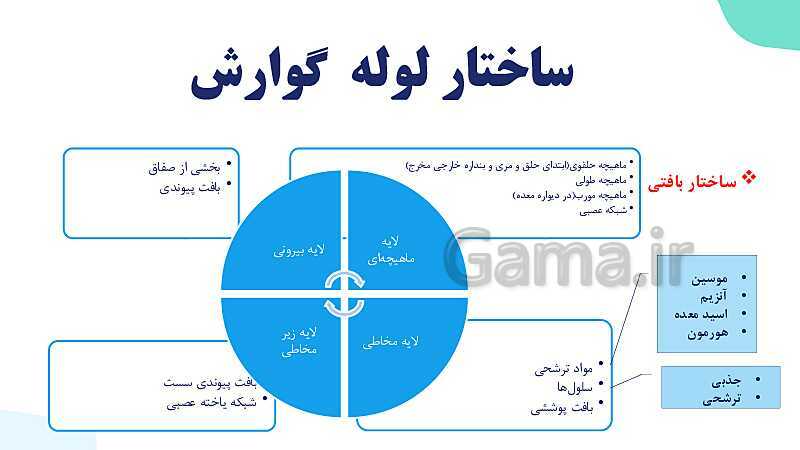 پاورپوینت گفتار 1 فصل 2 زیست دهم: ساختار و عملکرد لوله گوارش- پیش نمایش