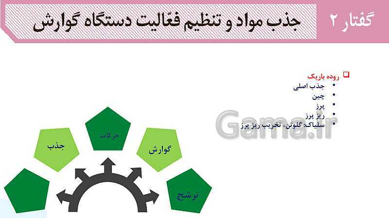 پاورپوینت گفتار 2 فصل 2 زیست دهم: جذب مواد و تنظیم فعالیت دستگاه گوارش- پیش نمایش