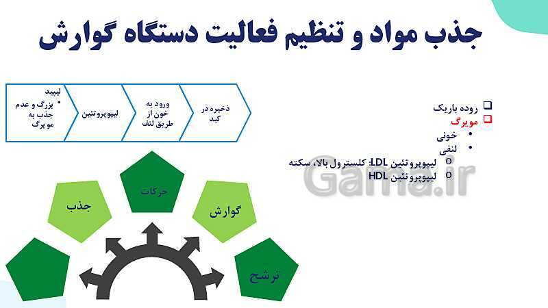 پاورپوینت گفتار 2 فصل 2 زیست دهم: جذب مواد و تنظیم فعالیت دستگاه گوارش- پیش نمایش