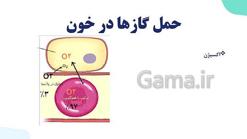 پاورپوینت گفتار 1 فصل 3 زیست دهم: ساز و کار دستگاه تنفس در انسان- پیش نمایش