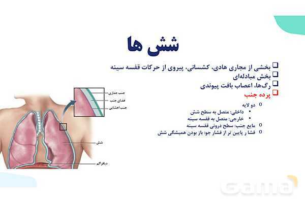 پاورپوینت گفتار 2 فصل 3 زیست دهم: تهویه ششی- پیش نمایش