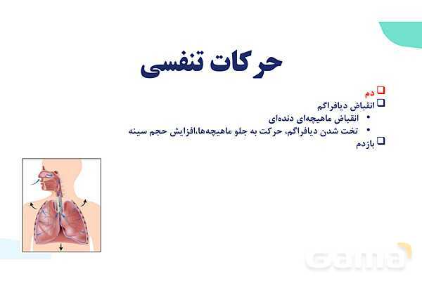 پاورپوینت گفتار 2 فصل 3 زیست دهم: تهویه ششی- پیش نمایش